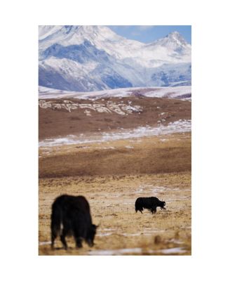 Sigma 200mm F2 DG OS/Sports/Sony E