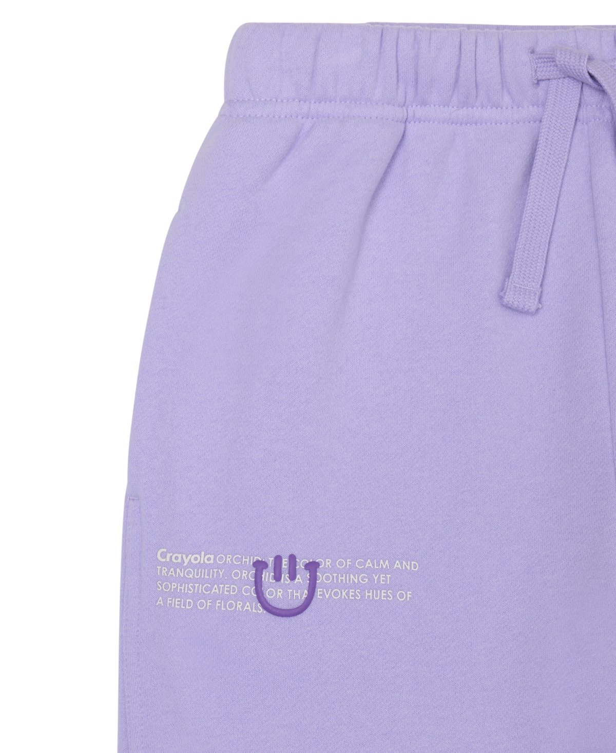 Color Lab Unisex 2t-6x Pull-on Fleece Jogger Pants In Purple