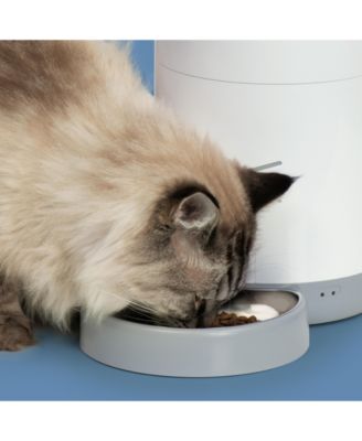 Pixi Smart Feeder