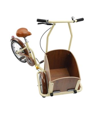 Tricycle for Ladies and Teens with Oversized Front Basket for Pets and Picnic Gear