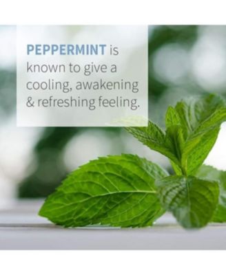 Essential Oil, Peppermint 0.5 Oz
