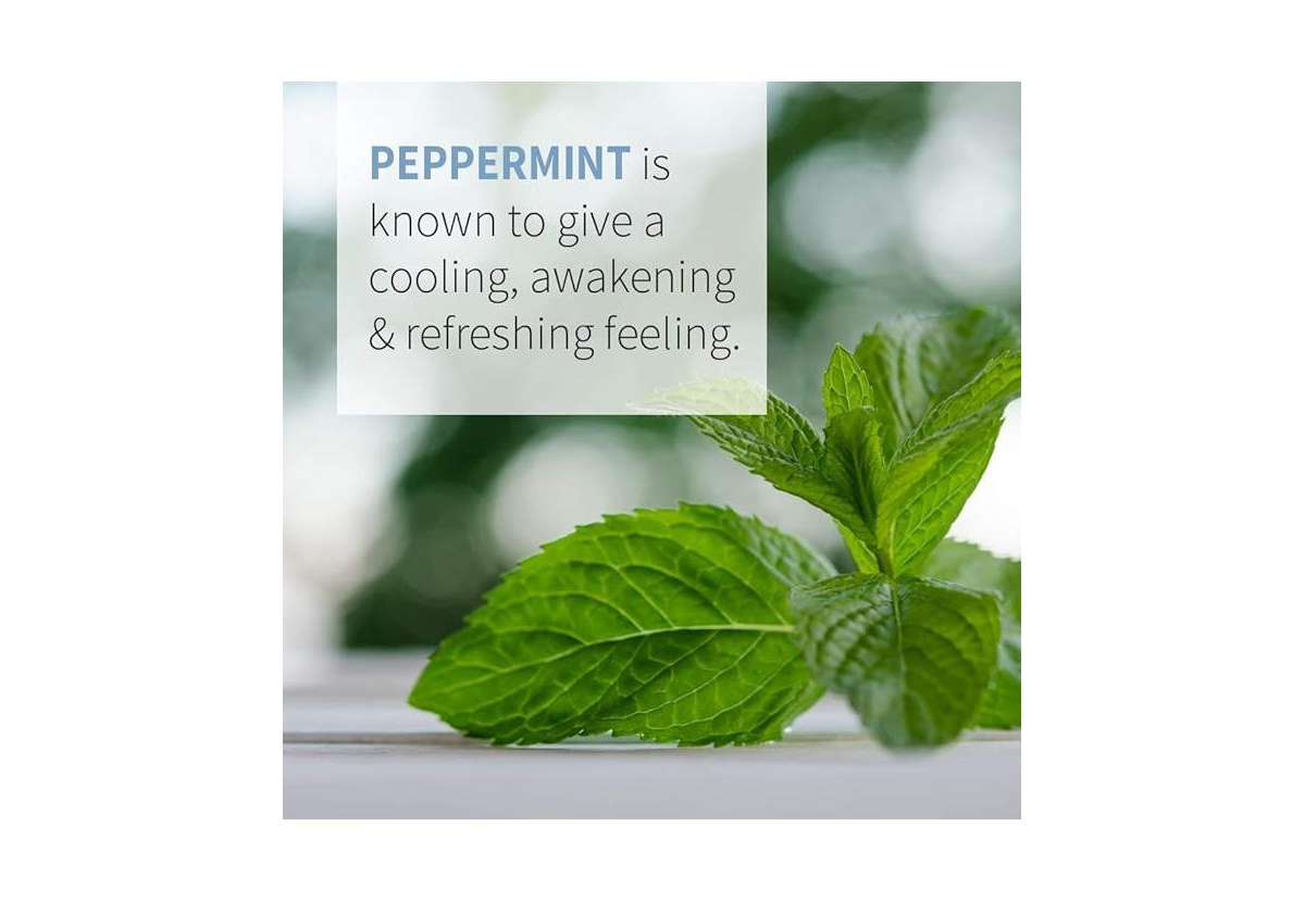 Garden of Life Essential Oil, Peppermint 0.5 Oz