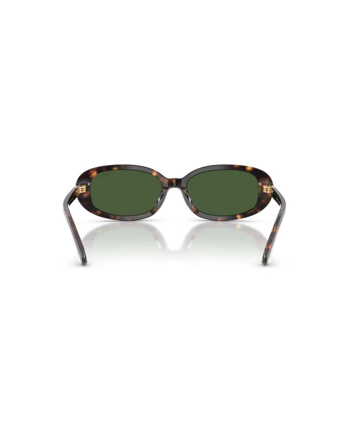 Polo Ralph Lauren Women's Oval Sunglasses, Ph4198u In Brown