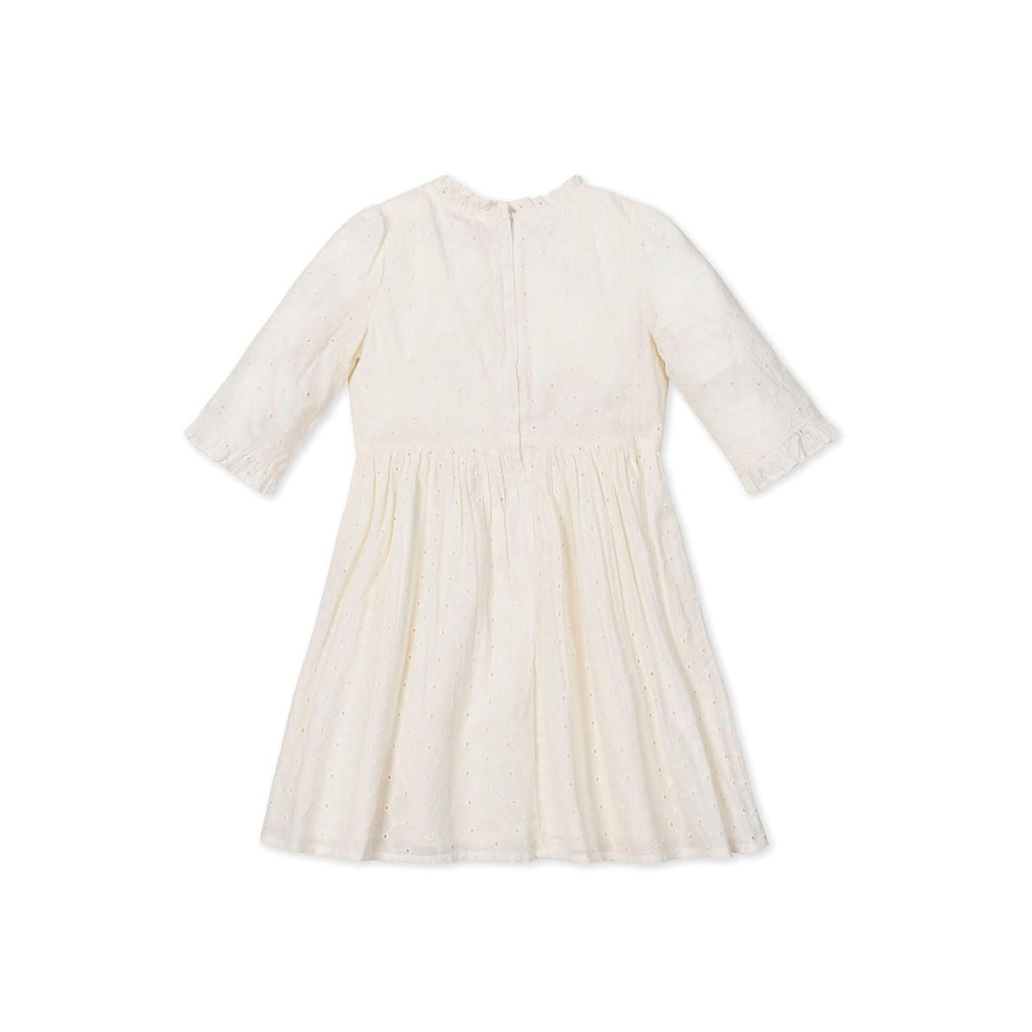 Toddler Girls Hope and Henry Organic Flutter Sleeve Tiered Eyelet Dress