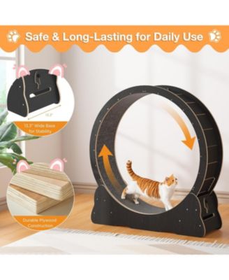 43.3'' Cat Wheel for Indoor Cats