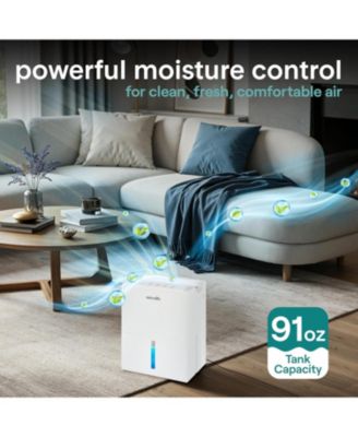 2-in-1 Portable Dehumidifier with Removable Cylinder & Drying Base