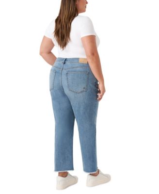 Plus Size Vintage Straight Ankle Jeans