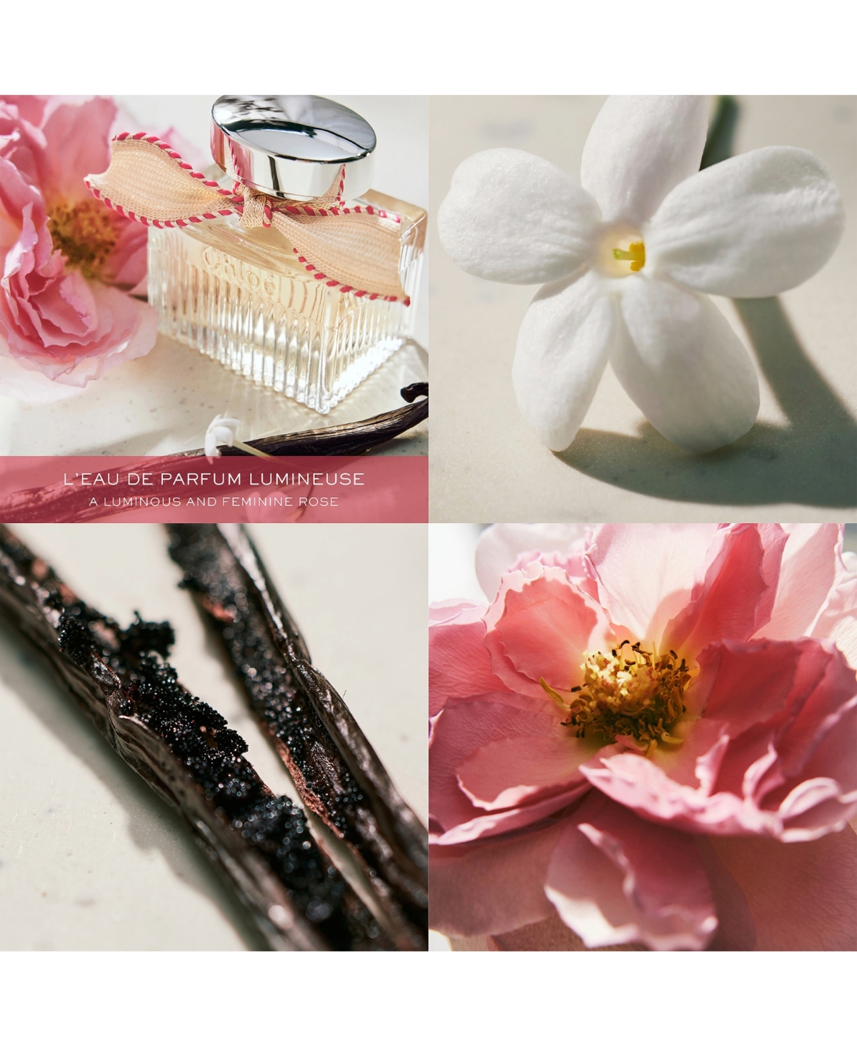 Chloé Signature Fragrance Minis Set In Transparent