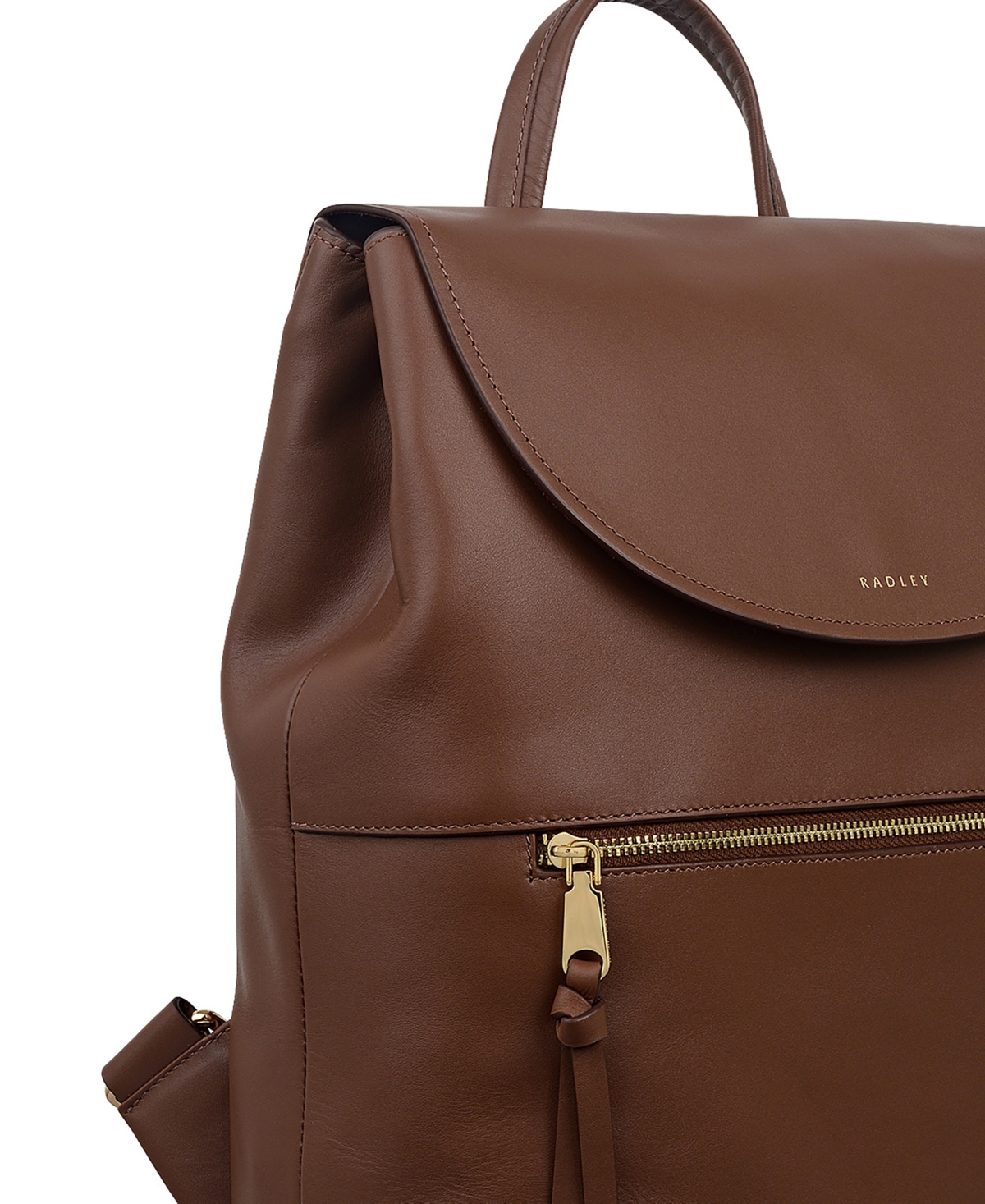 Radley London Albion Street Small Zip Top Backpack In Brown