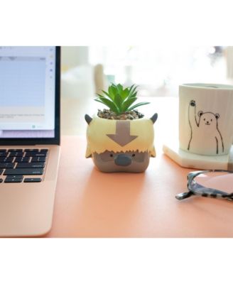 Avatar: The Last Airbender Appa 6-Inch Ceramic Planter With Artificial Succulent