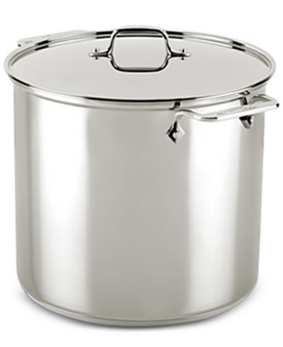 All-Clad Stainless Steel 16-Qt. Stockpot with Lid