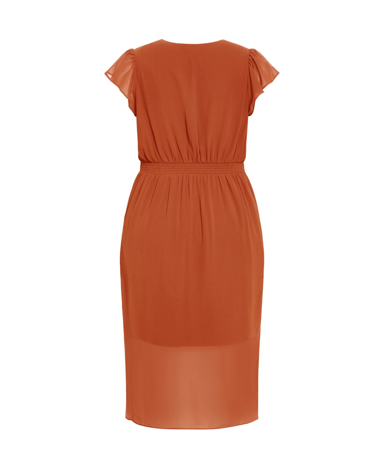 Women's Plus Size Wrap Swing Dress