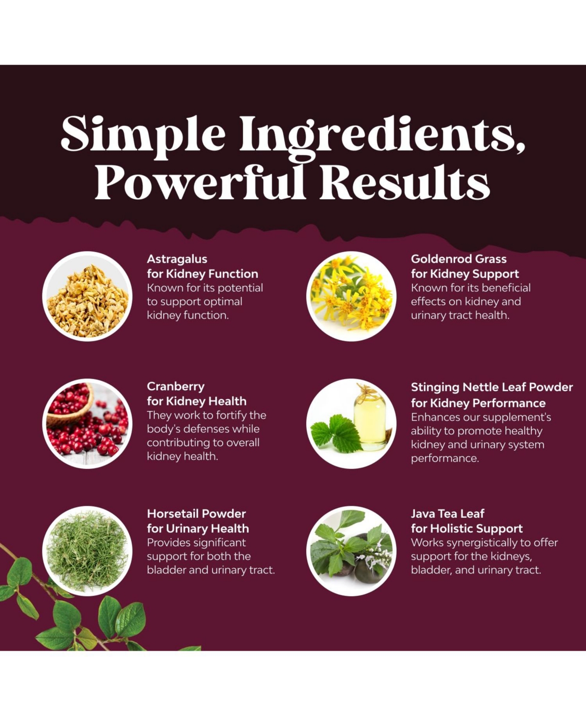 Nature's Craft Kidney Support, 120ct