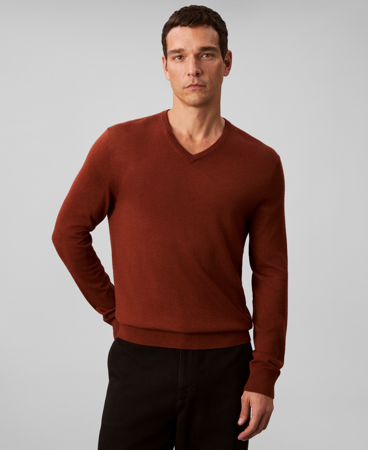 Calvin Klein Men's Merino Wool Blend V-neck Sweater In Brown