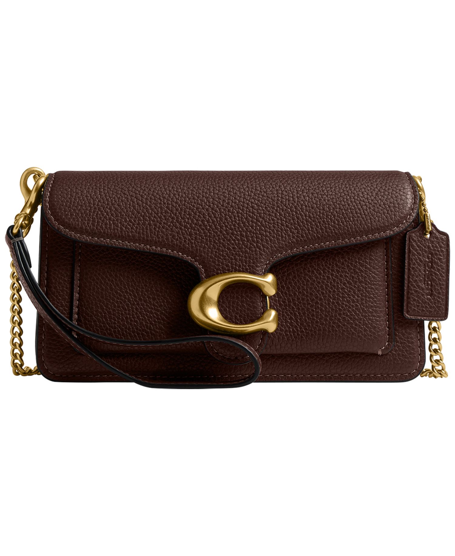Tabby Mini Pebble Leather Chain Crossbody Bag 19