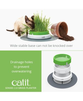Senses 2.0 Grass Planter, Retail