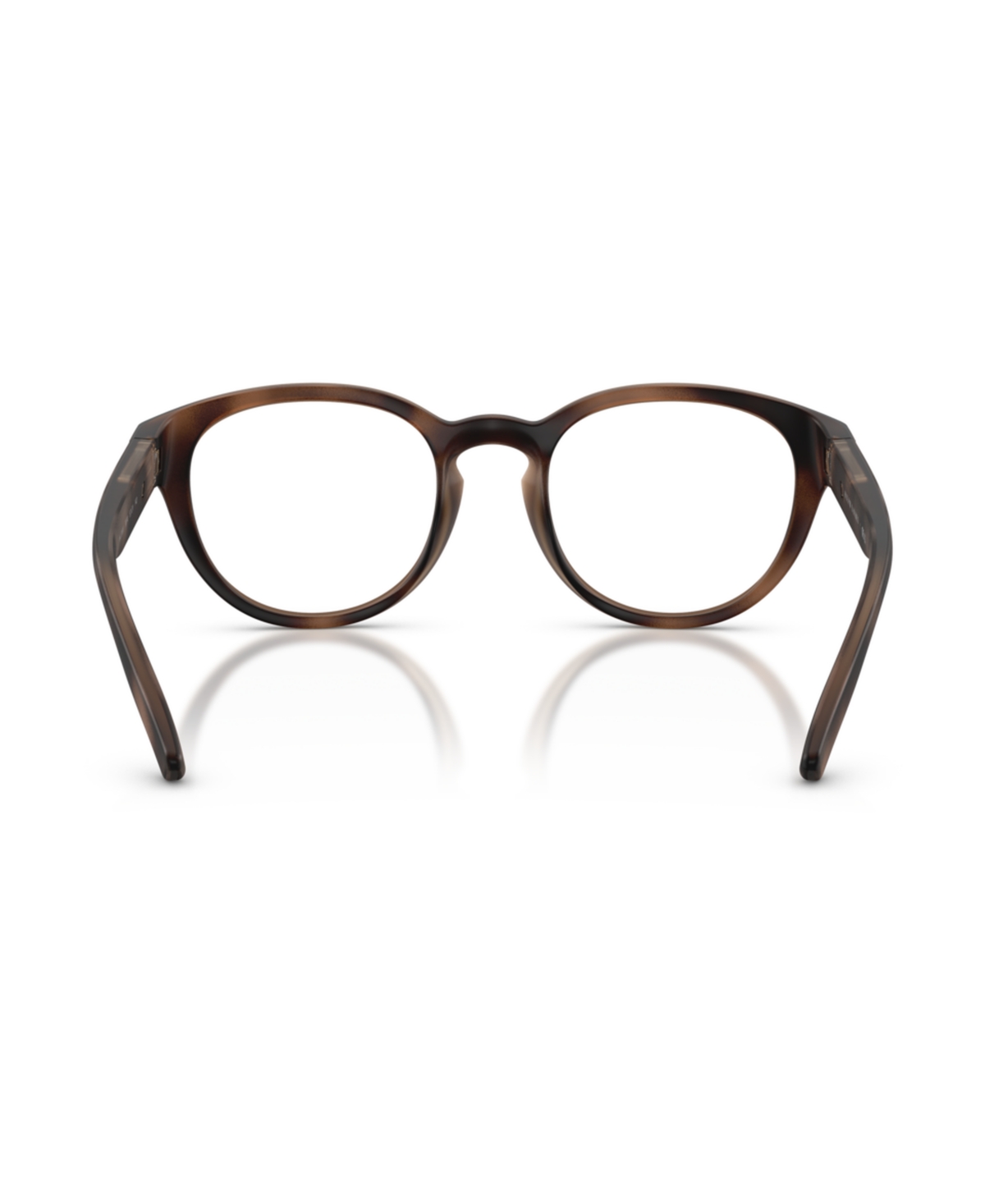 Polo Ralph Lauren Men's Panthos Eyeglasses