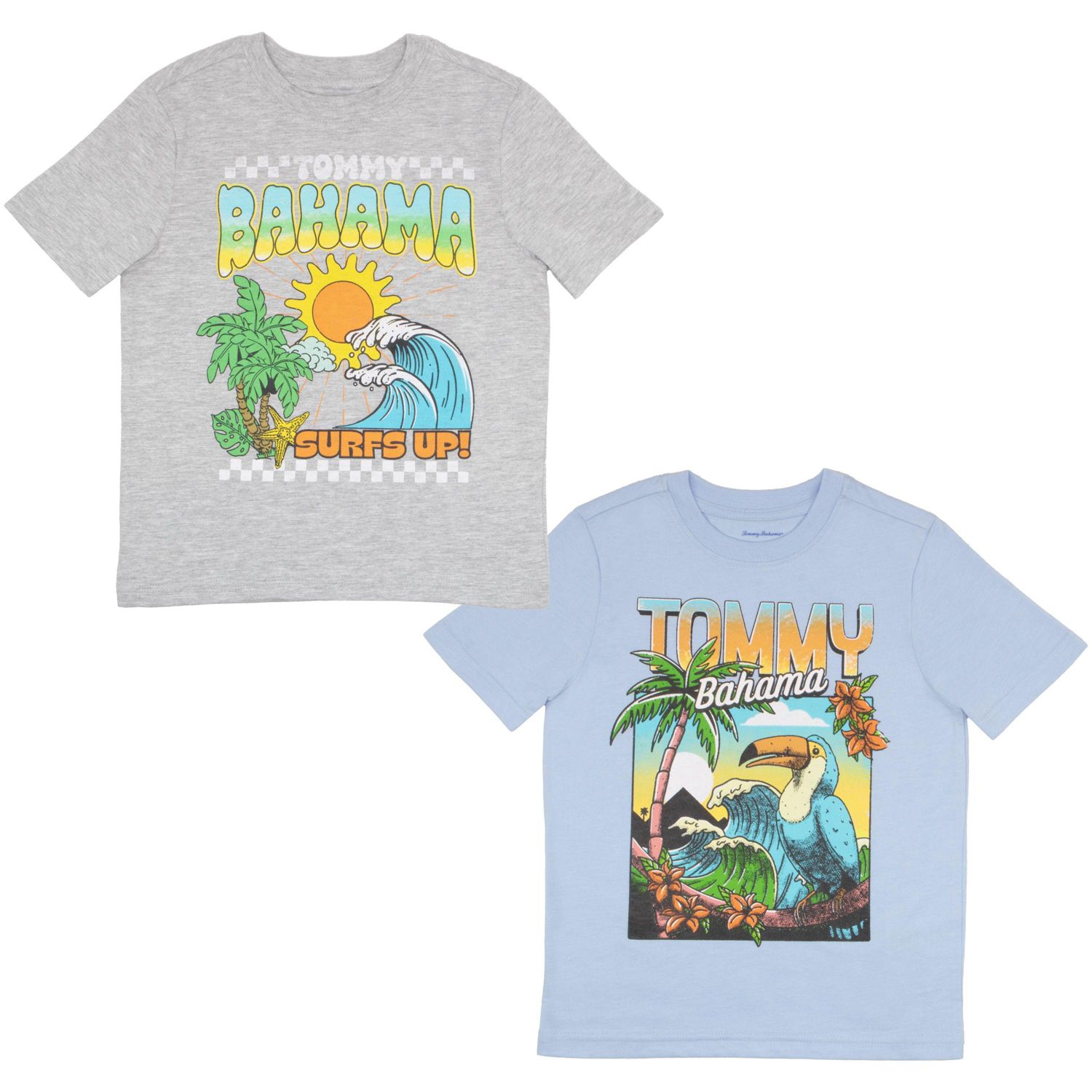 Boys 2 Piece Casual Crewneck T-Shirt Bundle Set