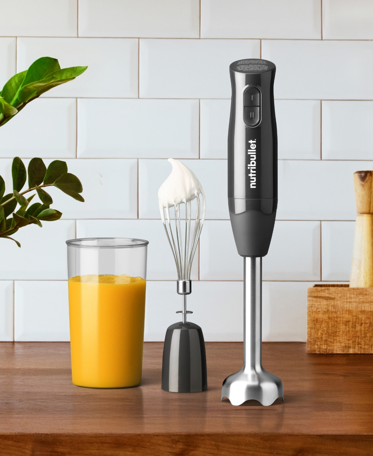 NutriBullet Lite Immersion Blender