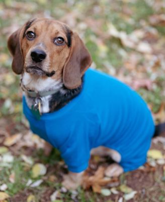 Dog Cotton Solid Pajamas