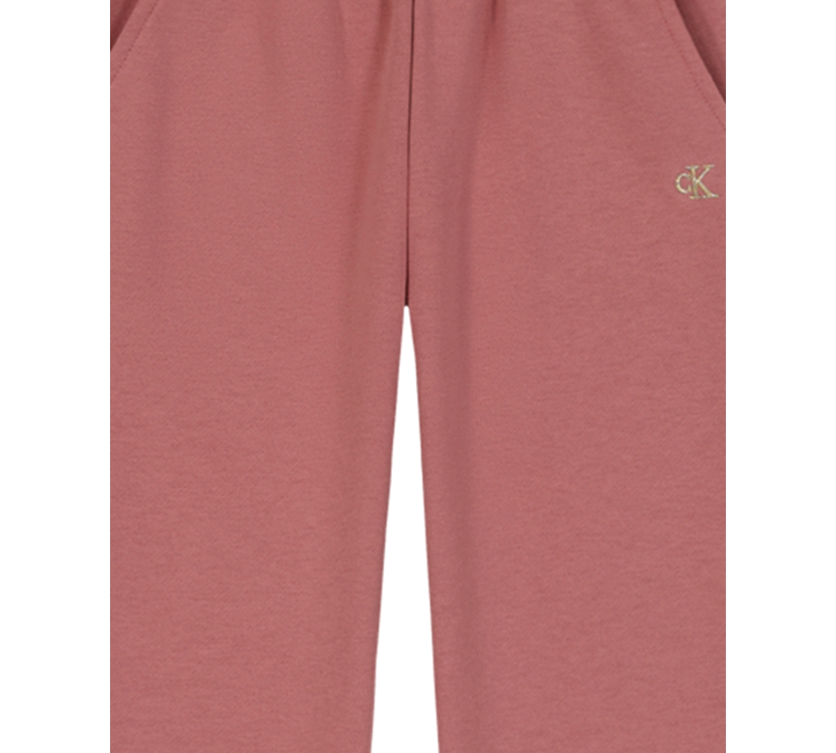 Calvin Klein Girls Toddler 2T-4T Long-Sleeve Hoodie and Fleece Pants, 2-Piece Set