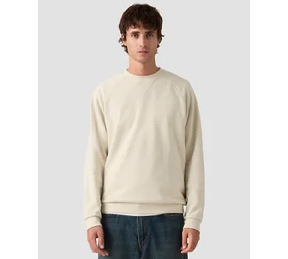 Levi's Authentic Crewneck Sweatshirt In Neutral