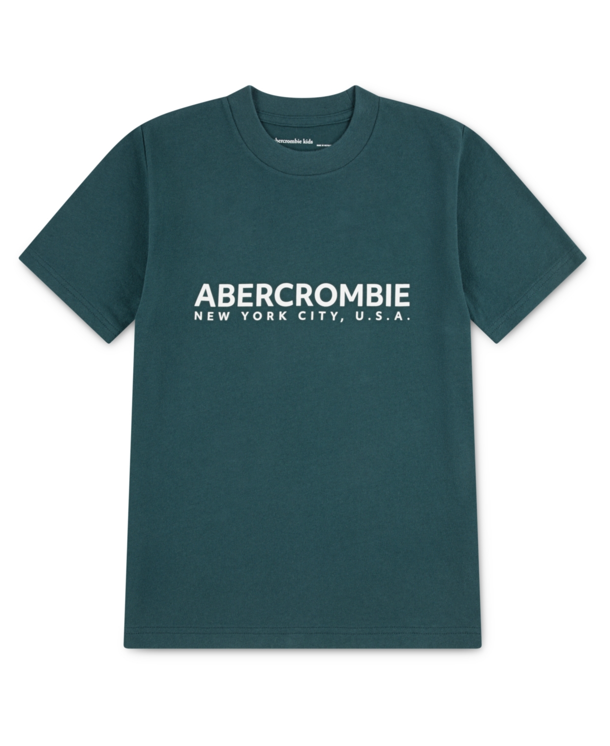 abercrombie kids Little and Big Boys Emblems T-Shirt