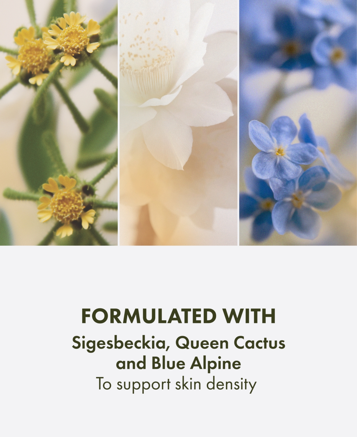 Origins Plantscription Triple-Action Youth Cream, 1.69 oz.