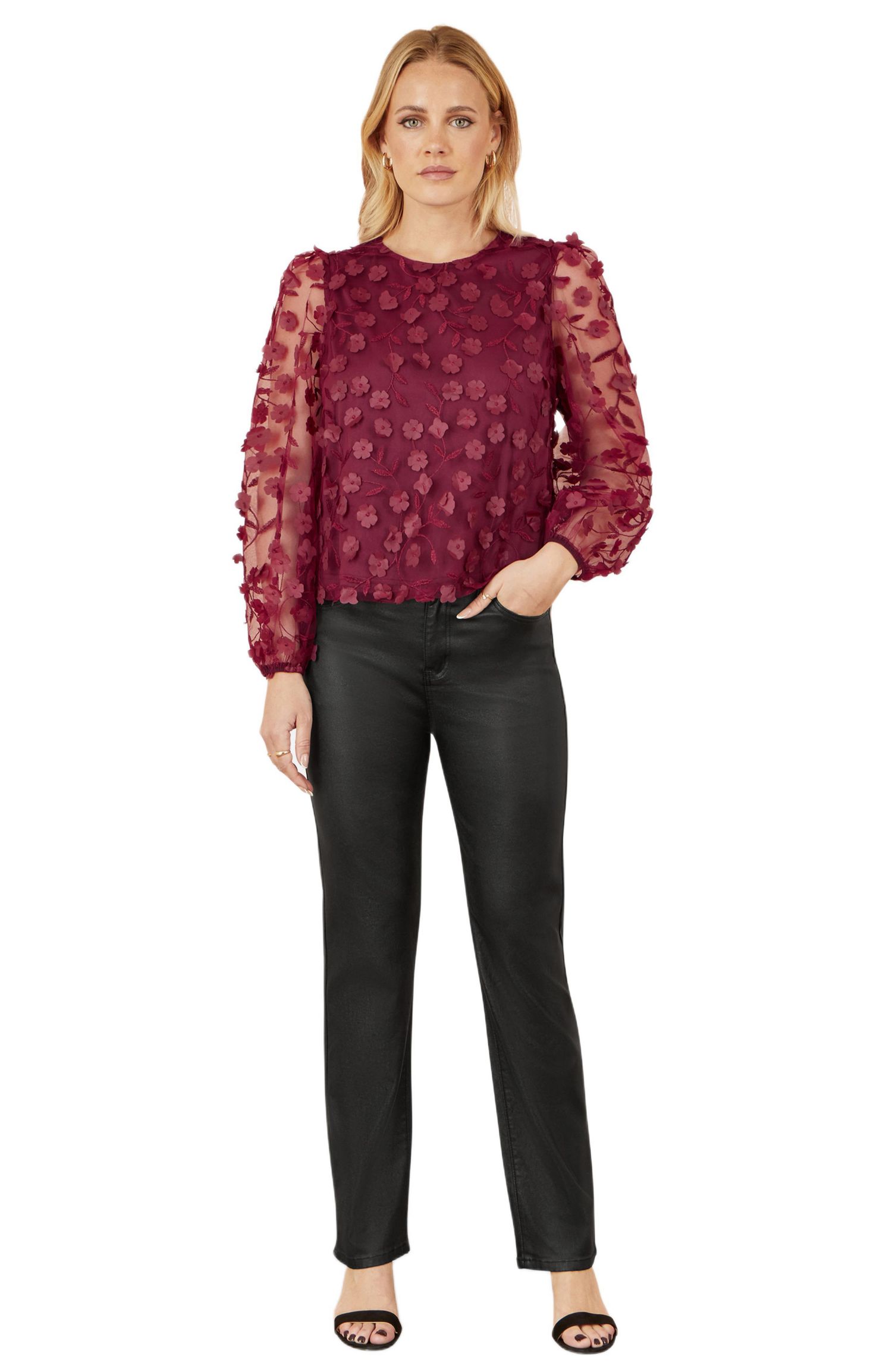 Women's Sheer Sleeve Applique Top