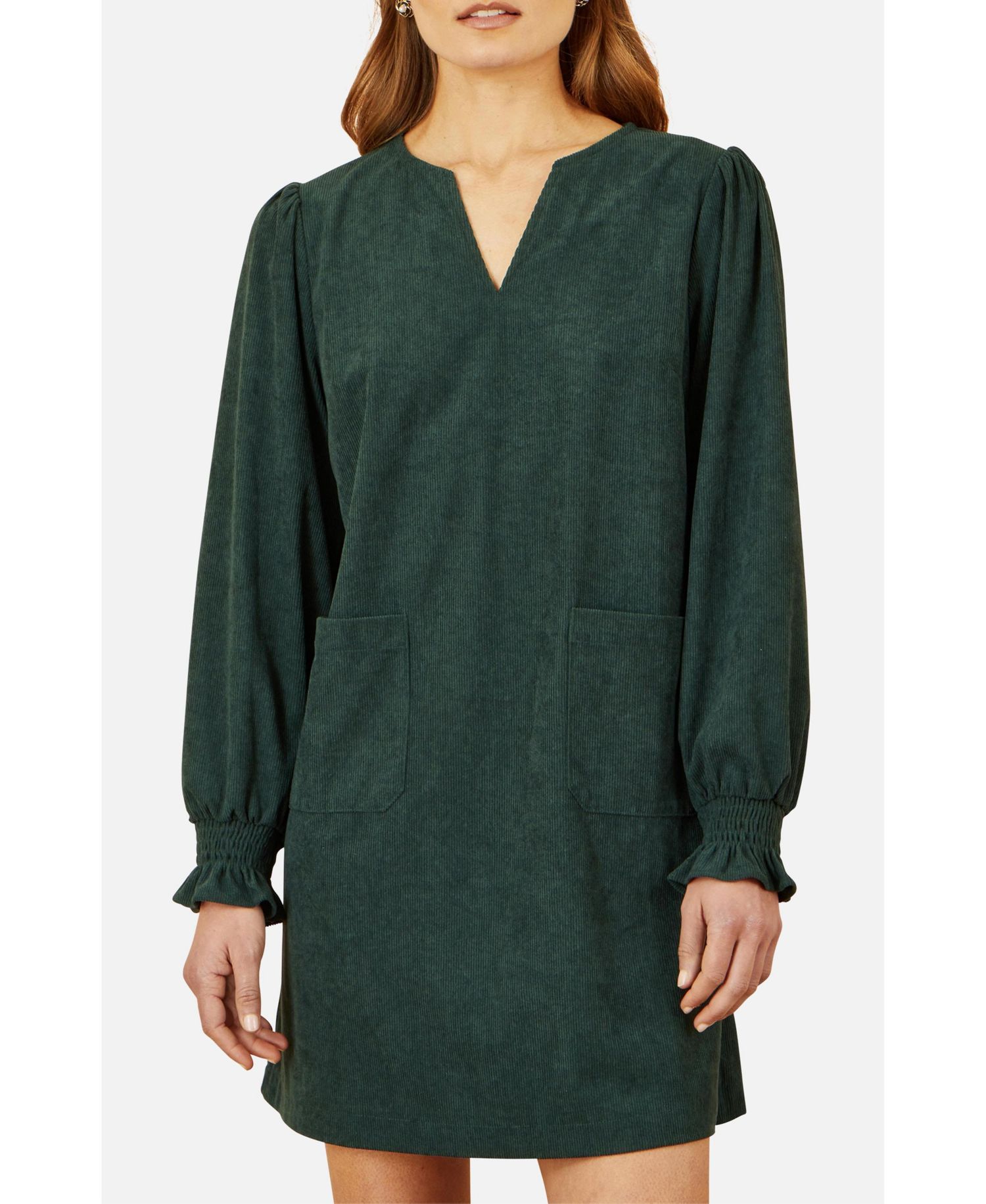 Women's Long Sleeve V-Neck Mini Dress