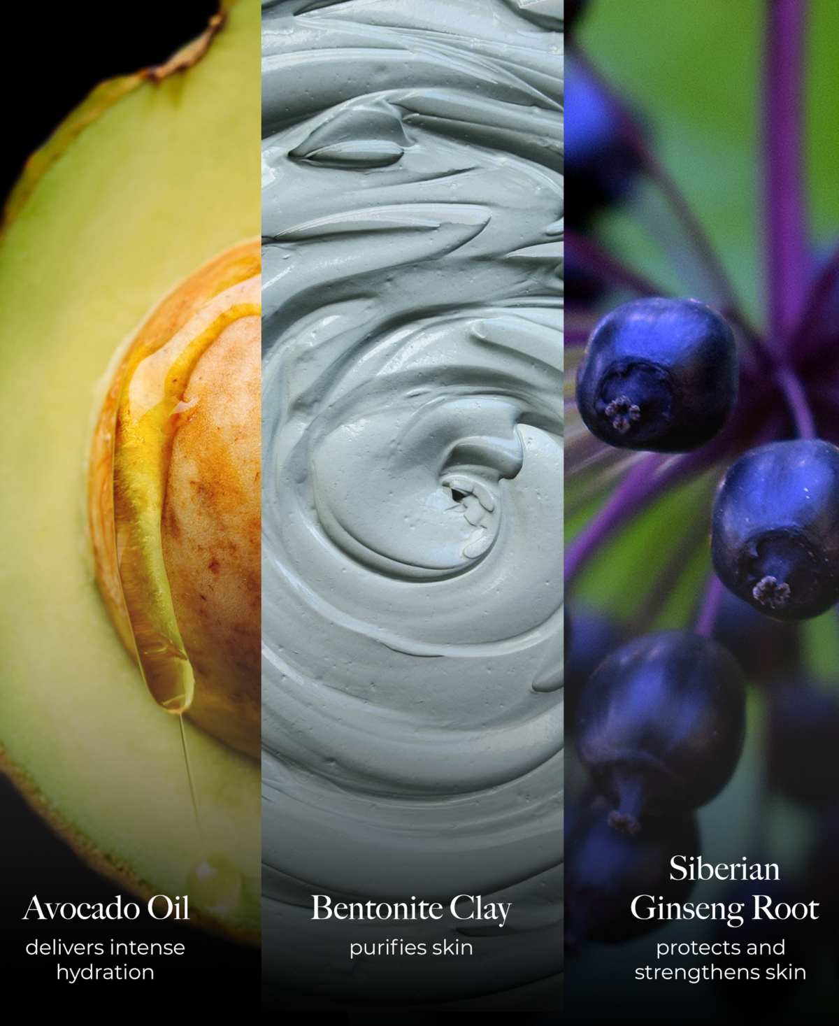 Borghese Advanced Fango Active Purifying Mud Mask, 7.5 oz.