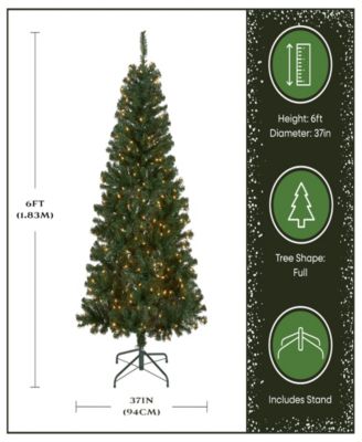 Acacia Pre-lit Christmas Tree with 300 Clear Incandescent Lights, 6'