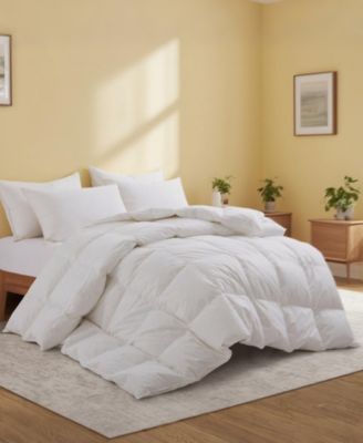 300TC Cotton All Season Warmth Goose Feather Down Comforter