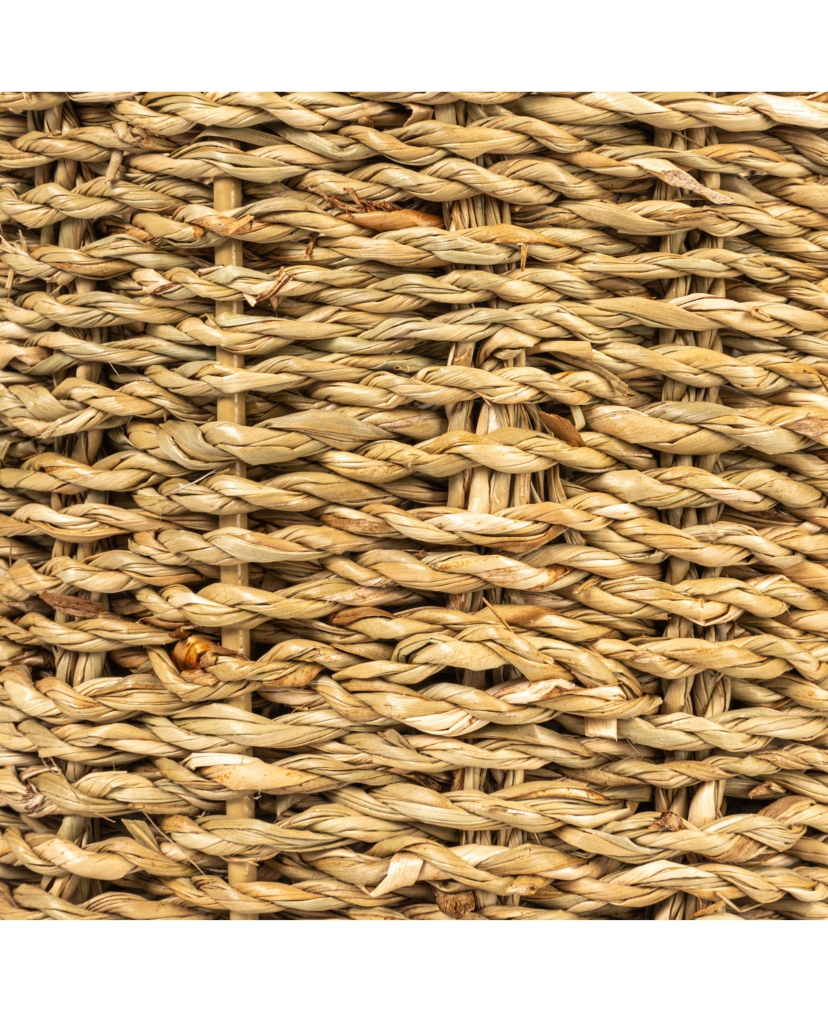 Storied Home Round Seagrass Multi-Section Caddy