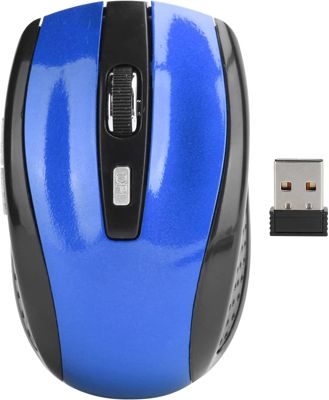 Wireless Mouse with USB Mini Receiver, 2.4GHz Ergonomic Optical Mouse, 1600DPI Computer Mouse for Laptop PC Notebook