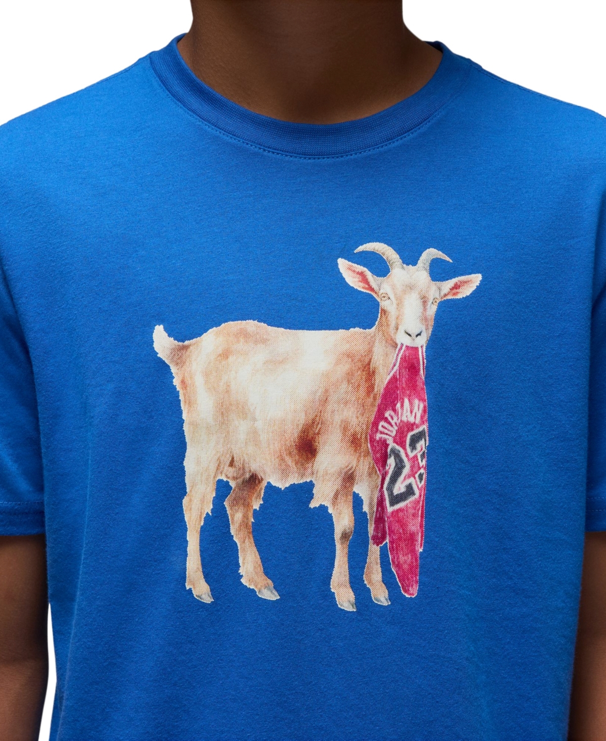 Jordan Boys 8-20 Flight Goat T-Shirt