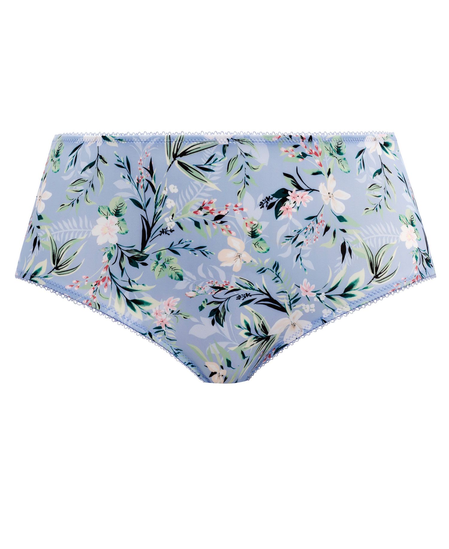 Plus Size Kayla Full Coverage Brief