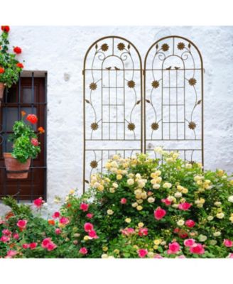 Metal Garden Trellis 71" Climbing Plant Support