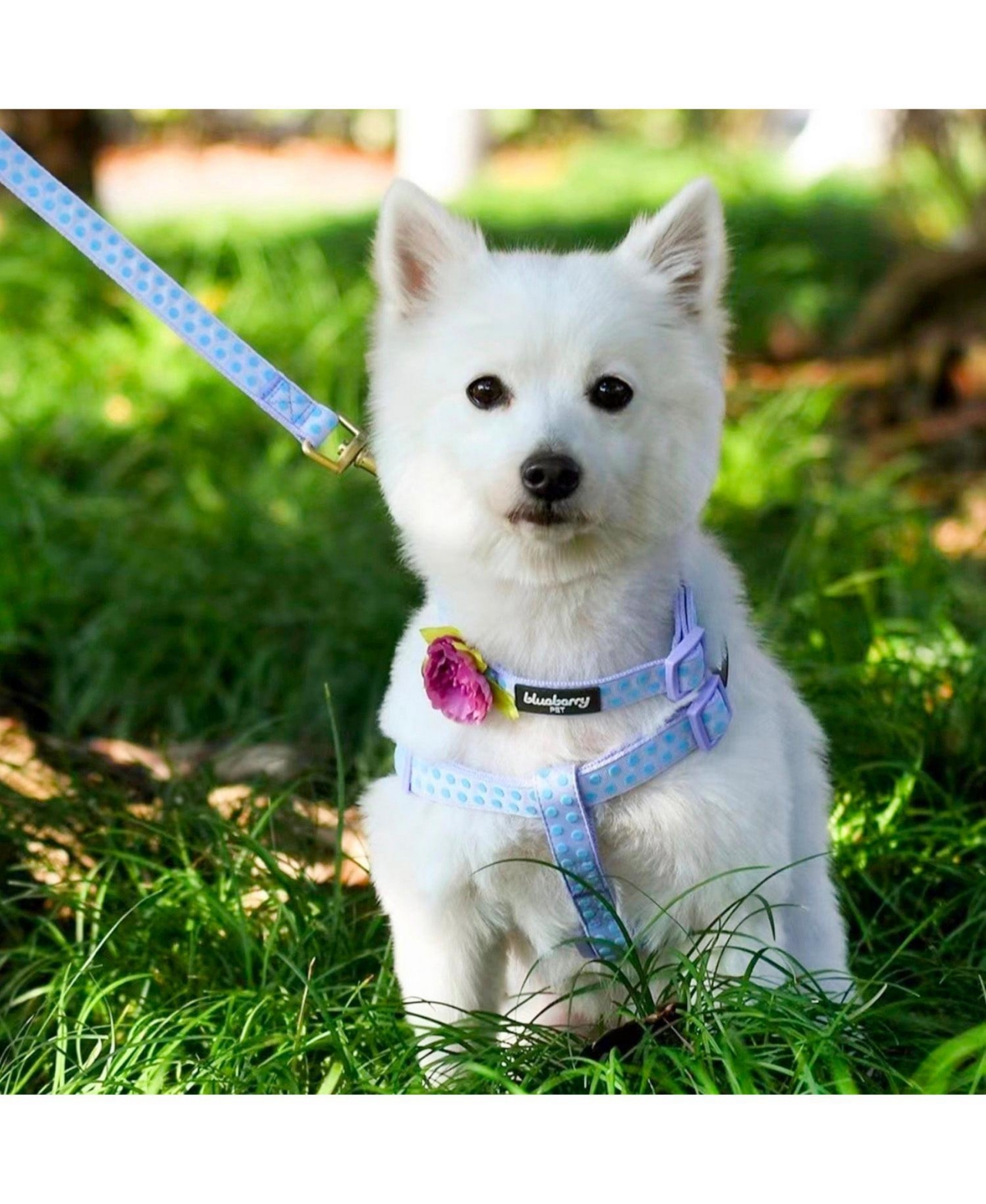 Blueberry Pet Velvety Polka Dot Dog Step-in Harness with with Bow
