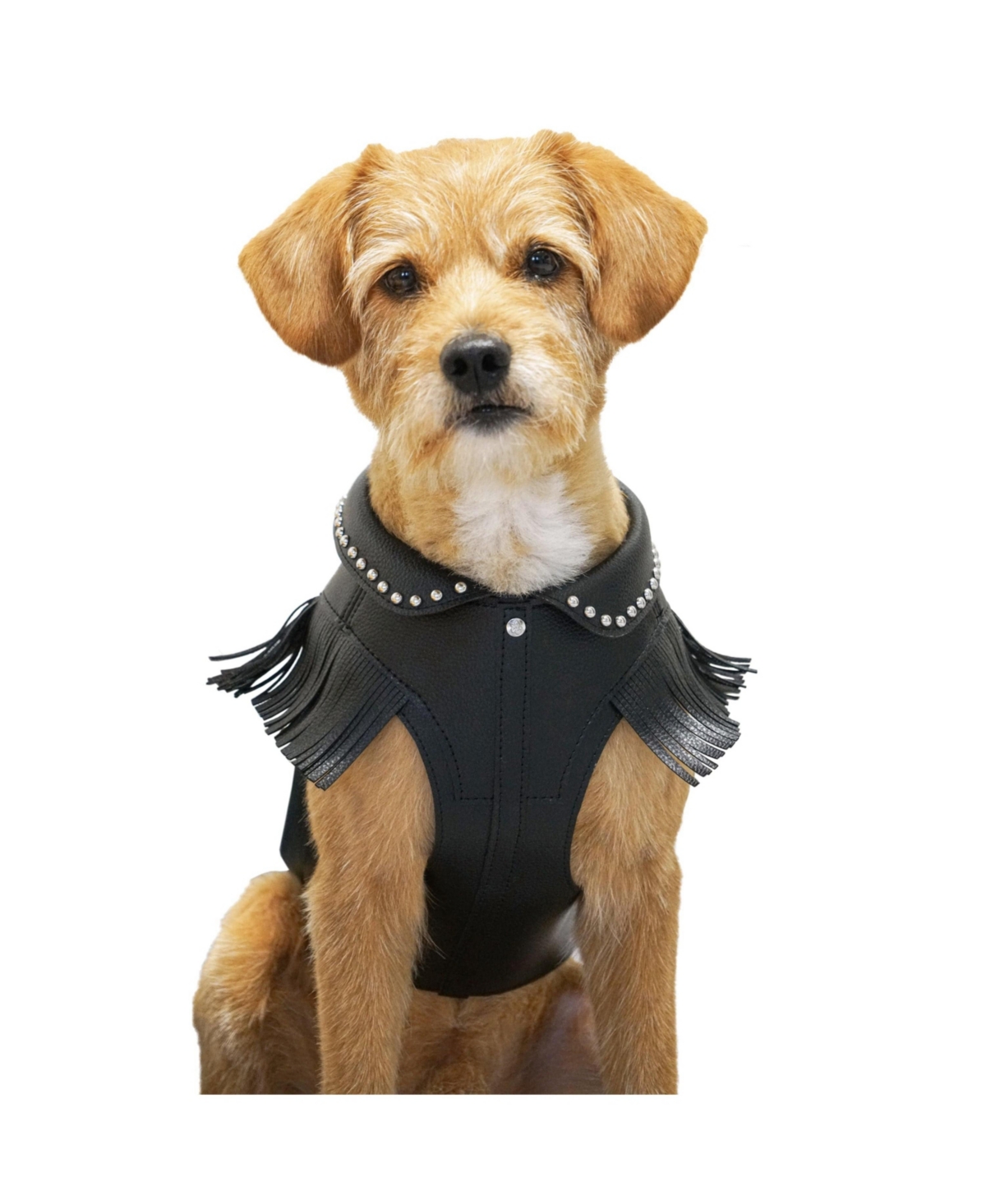 Blueberry Pet Silver-Powered Freshness Microfiber Leather Dog Harness Jacket