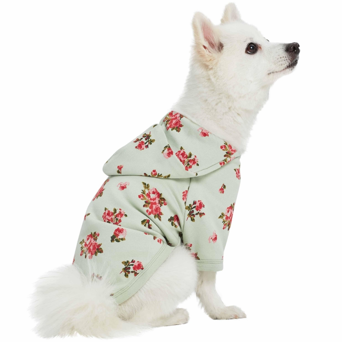 Blueberry Pet French Terry Knit English Rose Dog Sweatshirt and Hoodie