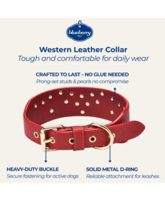 Western Style Full Grain Genuine Leather Embroidered Dog Collar with Pearl or Turquoise Studs