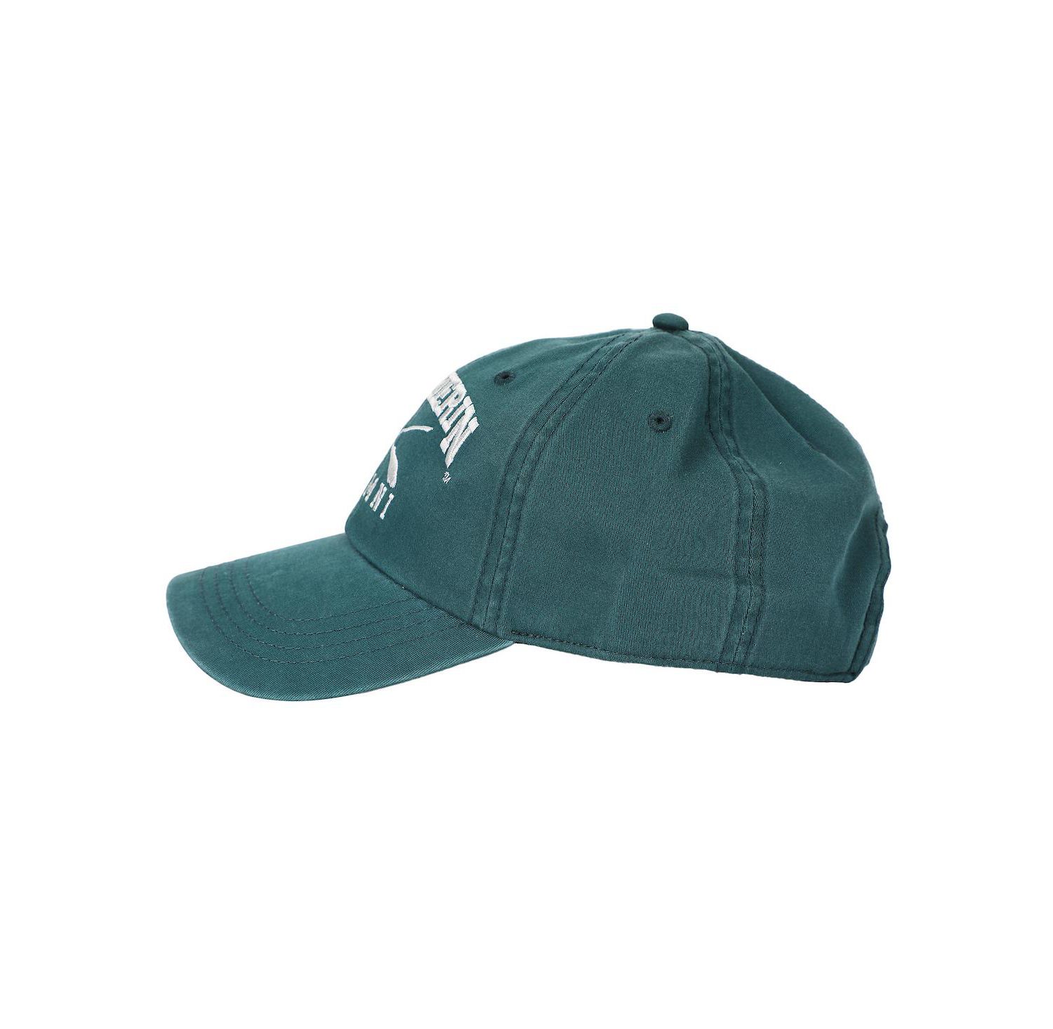 Men's Slytherin Alumni Adult Unstructured Baseball Cap