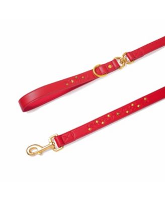 Silver-Powered Freshness Microfiber Suede Dog Collar – Embossed Classic Pattern with Bronze Studs