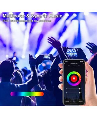 LB2 Smart Wifi Light Bulb PAR38 E26 Dimmable Recessed (2-Pack)