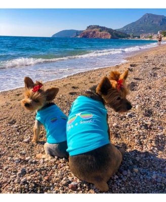 Parisian Pet Life's a Beach!