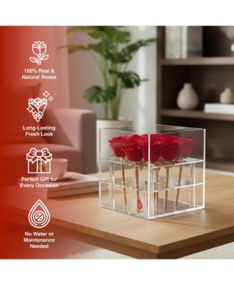 9 Preserved Roses in Acrylic Box: 100% Real Natural Roses That Last Over 1 Year