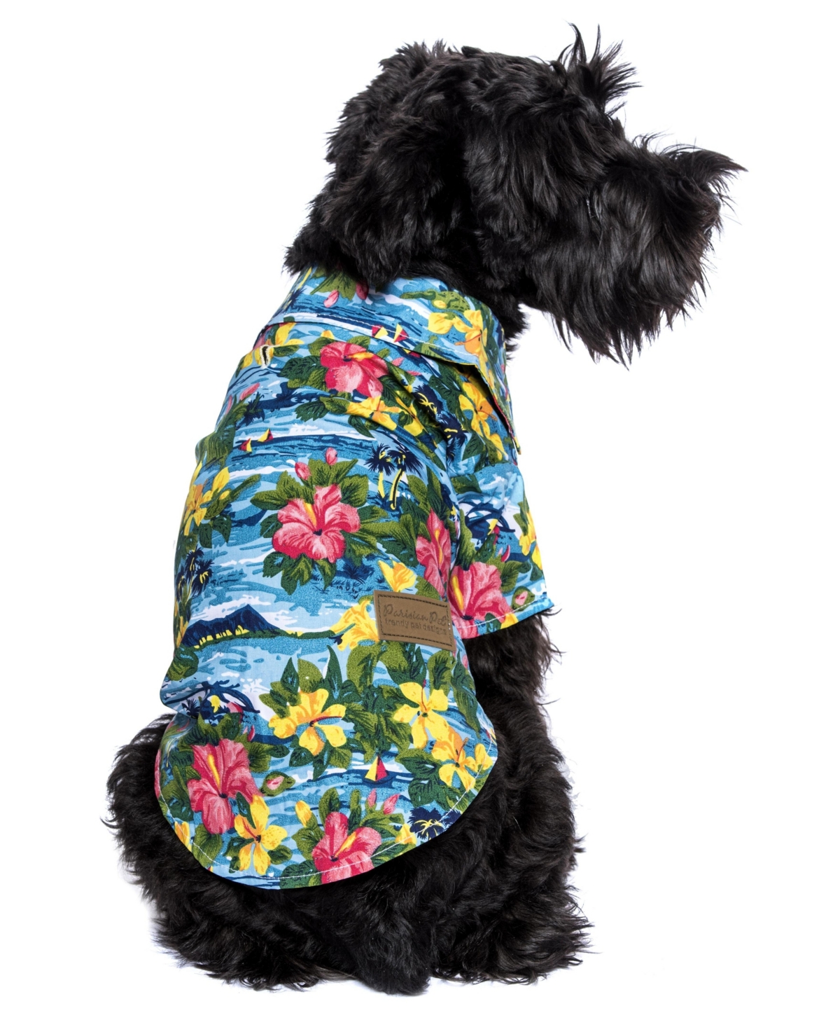 Parisian Pet Hawaiian Camp