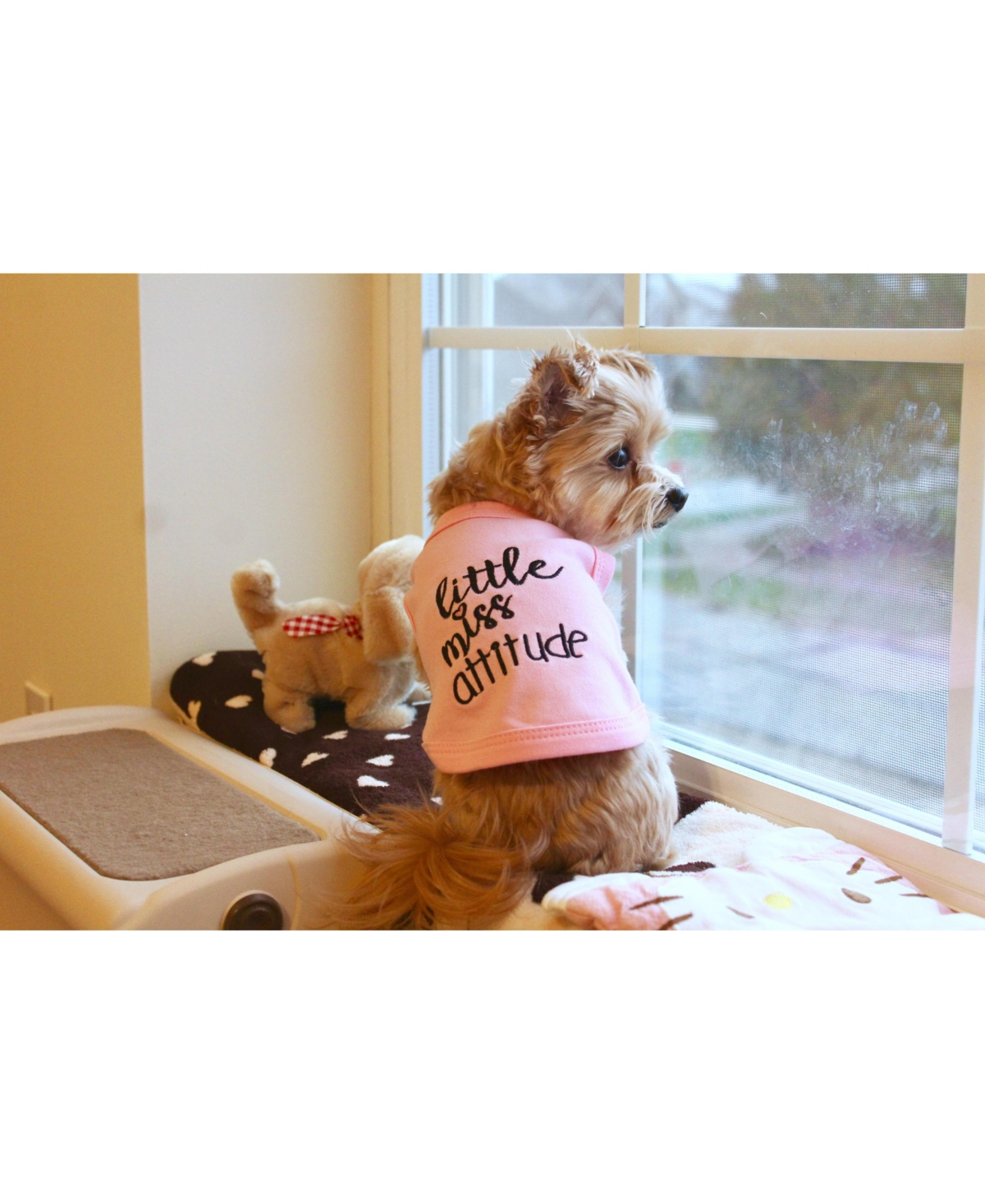 Parisian Pet Little Miss Attitude