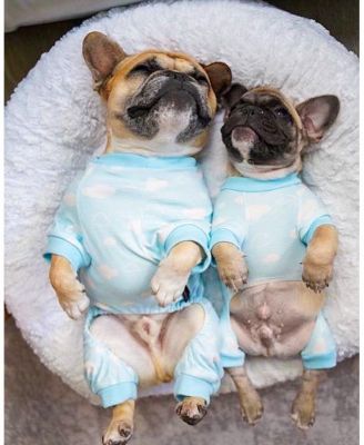 Parisian Pet Blue Cloud Pajama